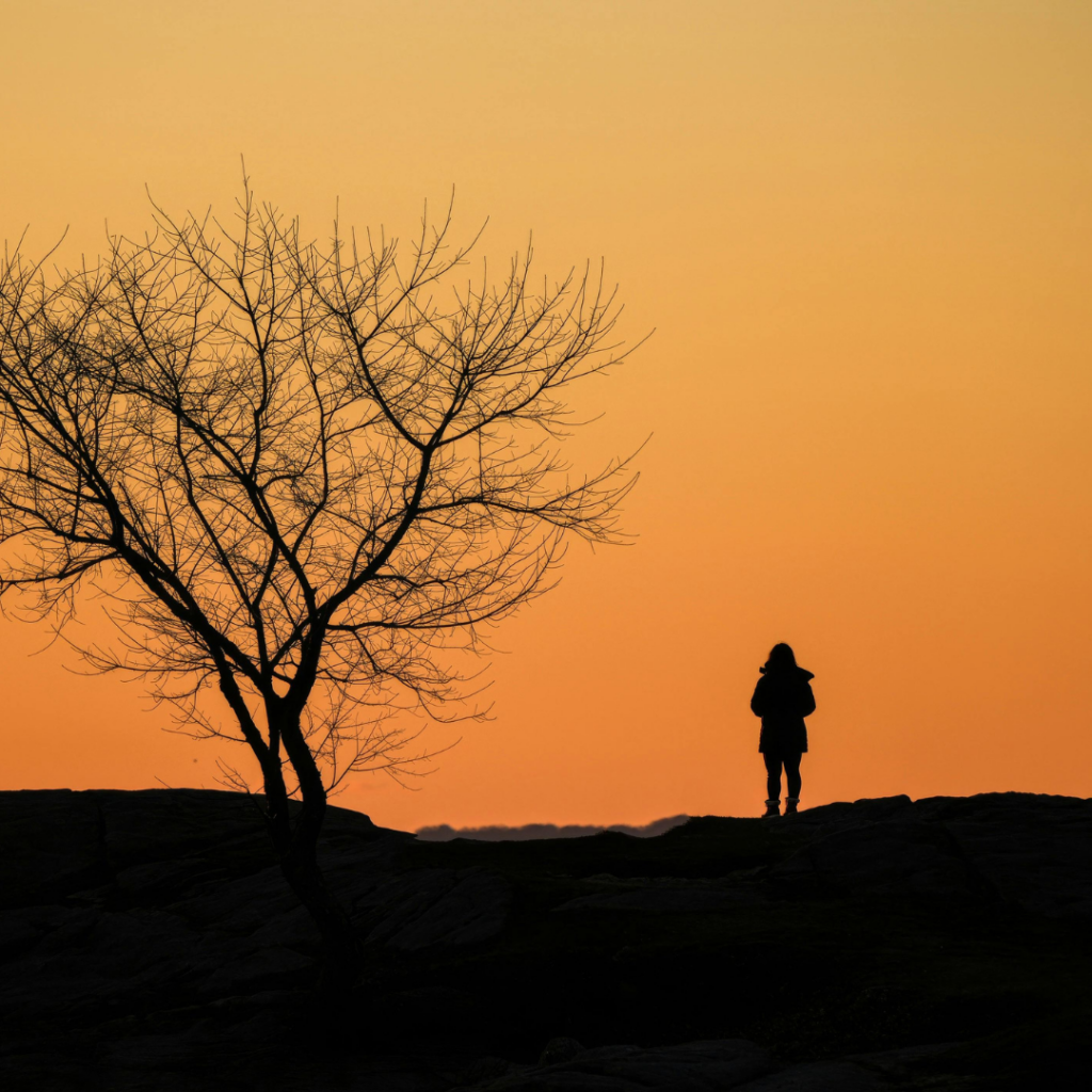 Silhouette of person standing near tree at sunset on rocky landscape